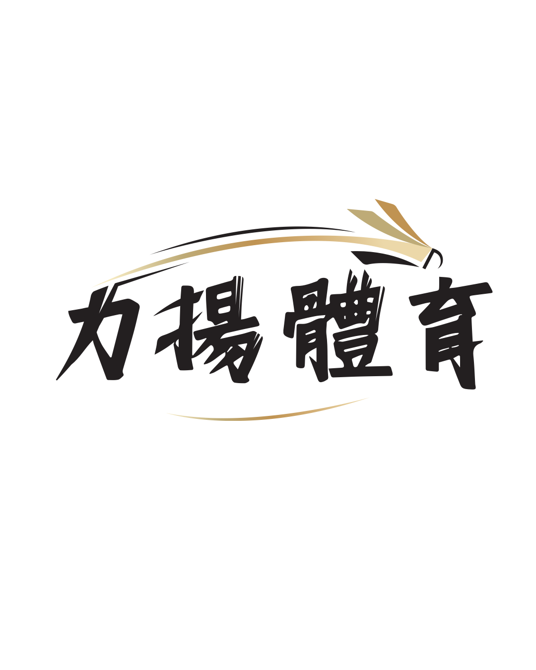 力揚體育 LI YANG SPORTS